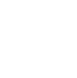 100-Percent icon